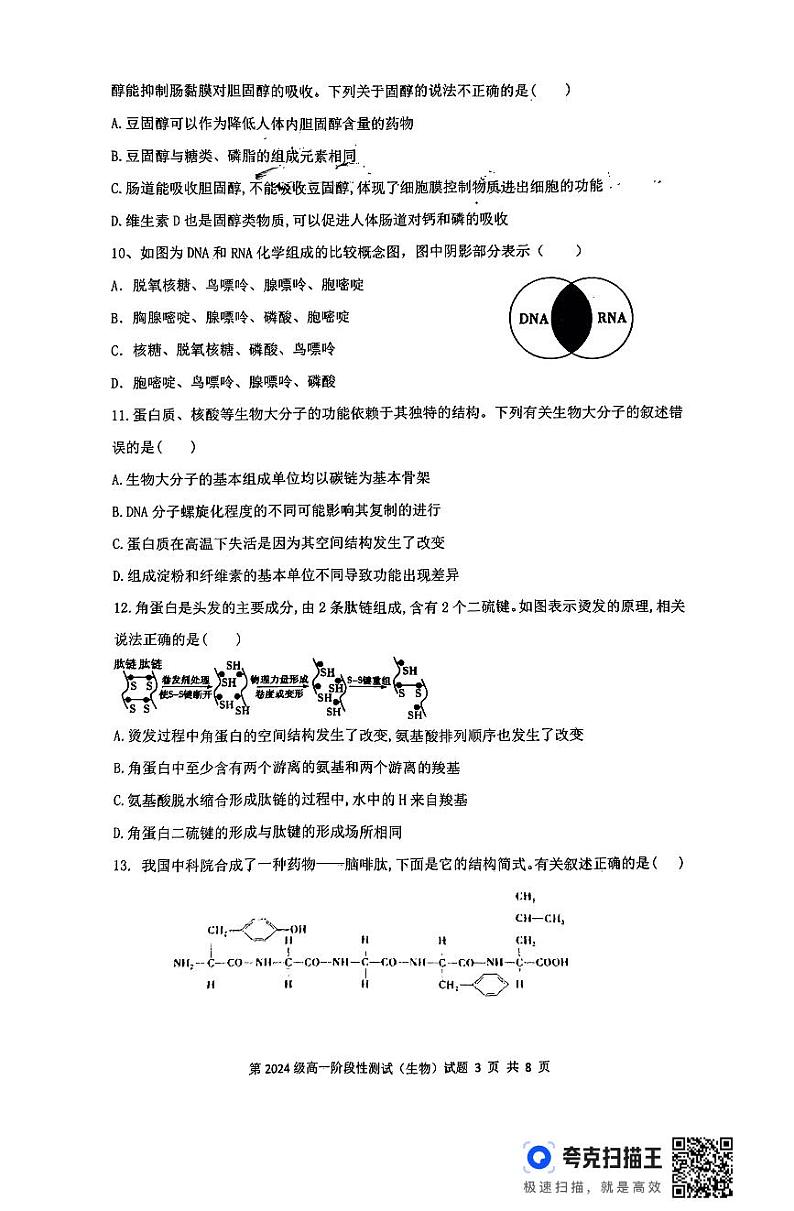 扫描件_2024级高一阶段性测试(3)第3页