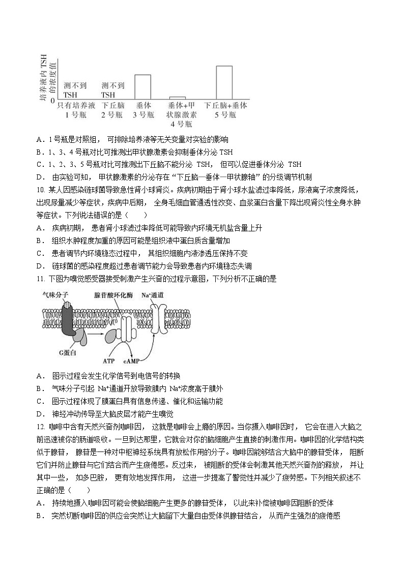 山东省临沂第三中学北校区2024-2025学年高二上学期10月月考生物试题第3页