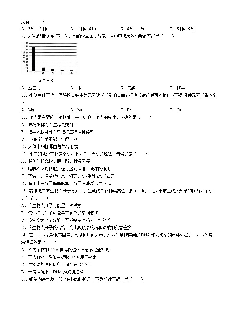 辽宁省普通高中2024-2025学年高一上学期10月月考生物试题02