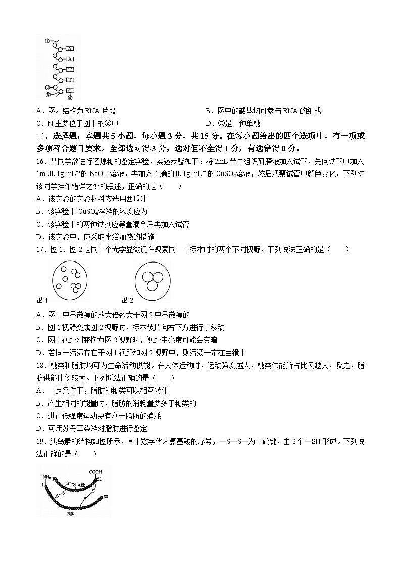 辽宁省普通高中2024-2025学年高一上学期10月月考生物试题03