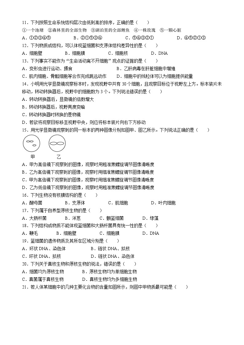 辽宁省凌源市2024-2025学年高一上学期10月月考生物试卷第2页