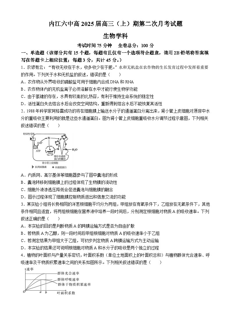 四川省内江市第六中学2024-2025学年高三上学期第二次月考生物试题第1页