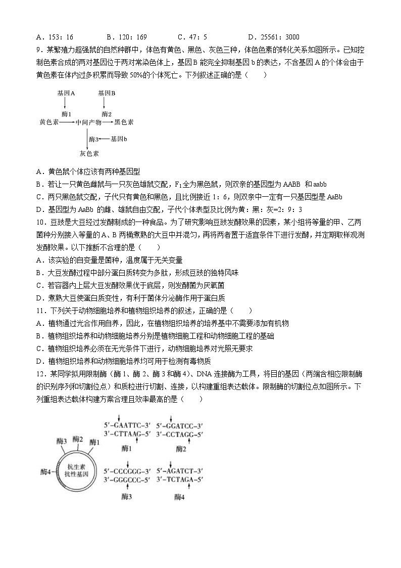 四川省内江市第六中学2024-2025学年高三上学期第二次月考生物试题第3页