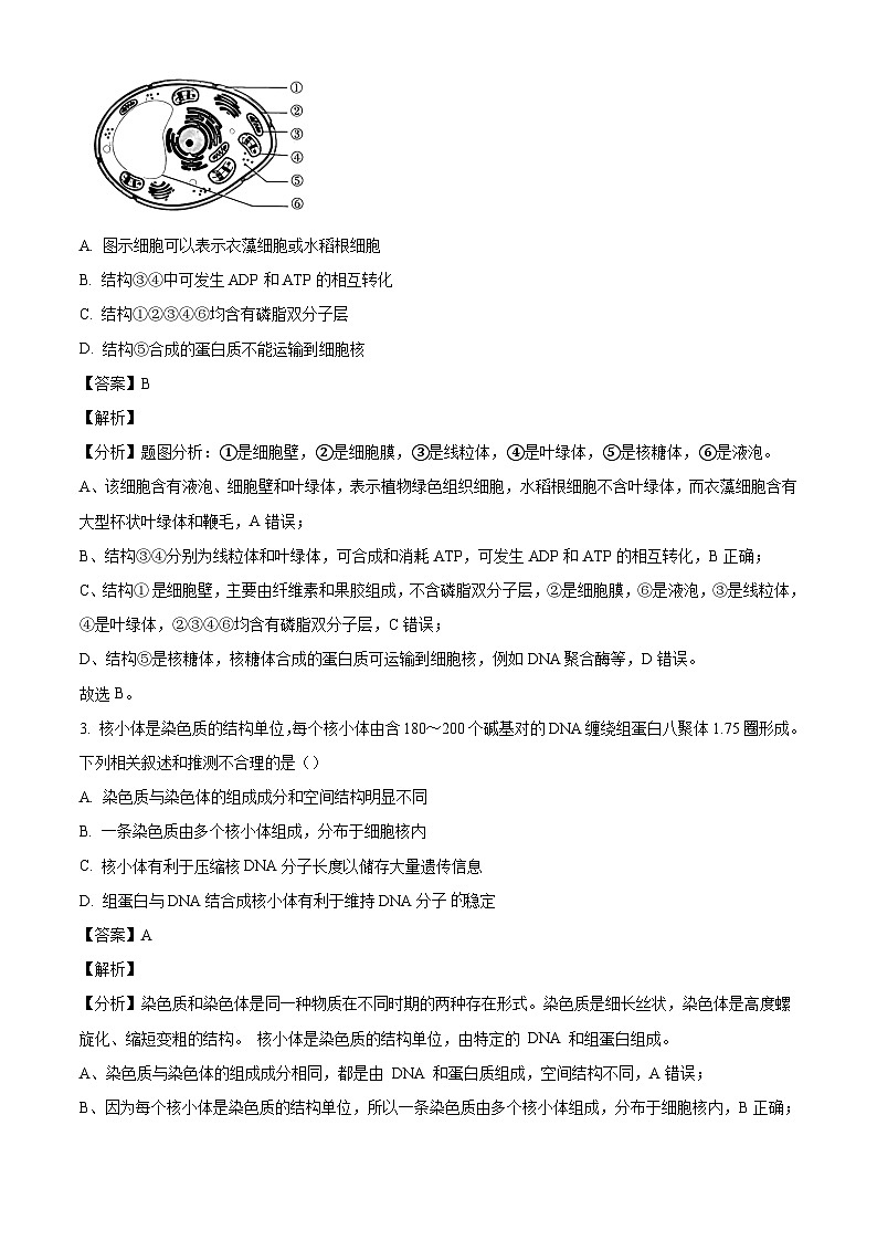 湖南省多校联考2024-2025学年高二上学期10月月考生物试题（解析版）第2页