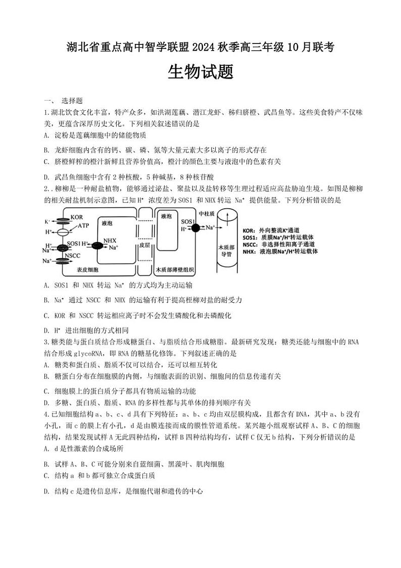 [生物]湖北省重点高中智学联盟2024～2025学年高三上学期10月联考学试题(有答案)第1页