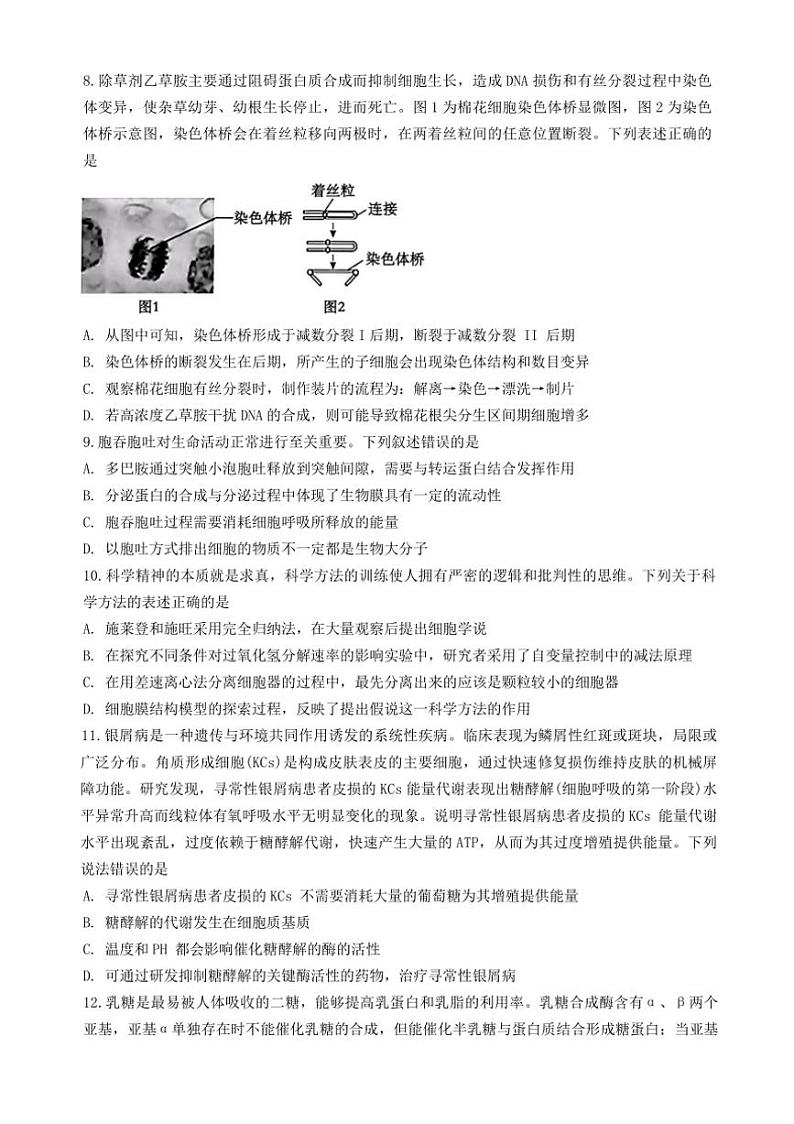 [生物]湖北省重点高中智学联盟2024～2025学年高三上学期10月联考学试题(有答案)第3页
