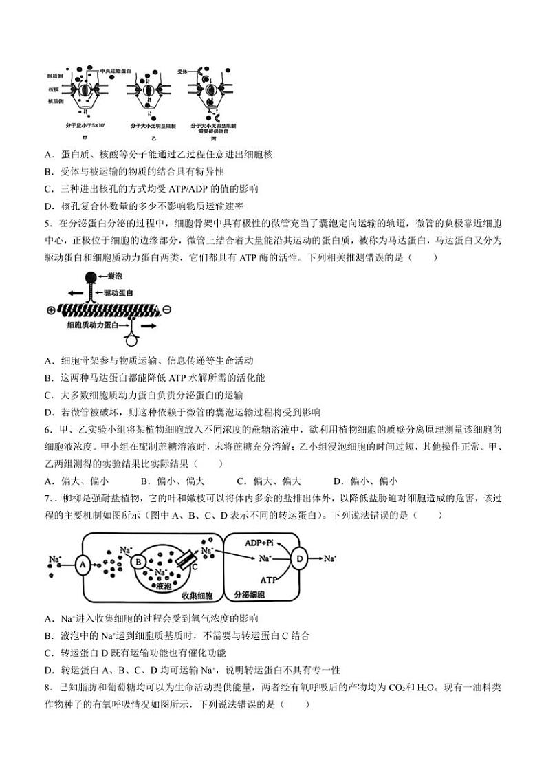 [生物]河北省邢台市临西县翰林中学等校2024～2025学年高三上学期第一次月考学试题(有答案)第2页