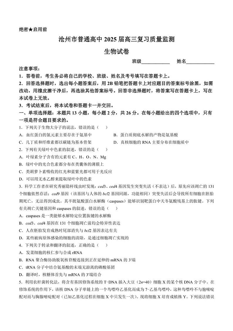 [生物]河北省沧州市沧州高三质量检测2024～2025学年高三上学期10月月考试题(有解析)第1页