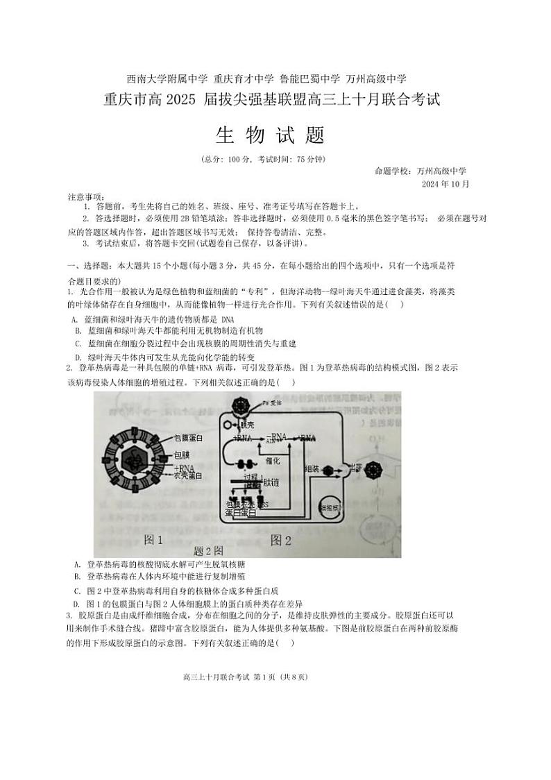 [生物]重庆市高2025届拔尖强基联盟高三上10月联合考试卷(有解析)第1页