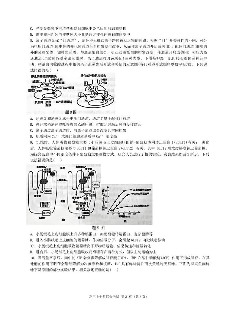 [生物]重庆市高2025届拔尖强基联盟高三上10月联合考试卷(有解析)第3页