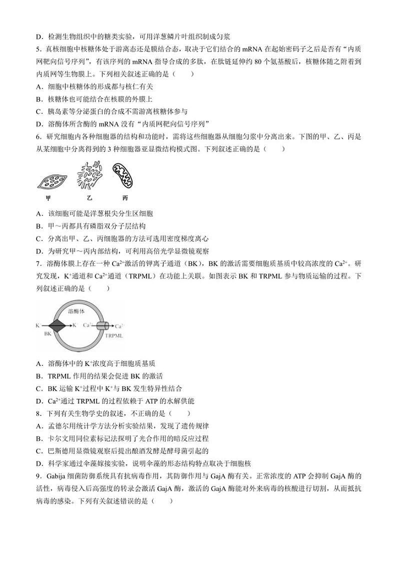 [生物]广东省深圳市罗湖区深圳中学2024～2025学年高三上学期10月月考学试题(有答案)第2页