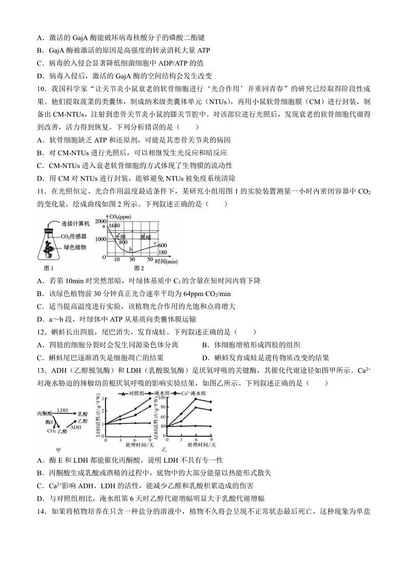 [生物]广东省深圳市罗湖区深圳中学2024～2025学年高三上学期10月月考学试题(有答案)第3页