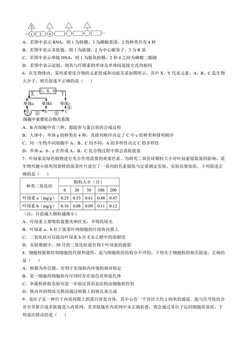 [生物]山西省吕梁市孝义市山西省孝义中学校2024～2025学年高三上学期10月学业水平质量检测题(2)学试题(有答案)第2页