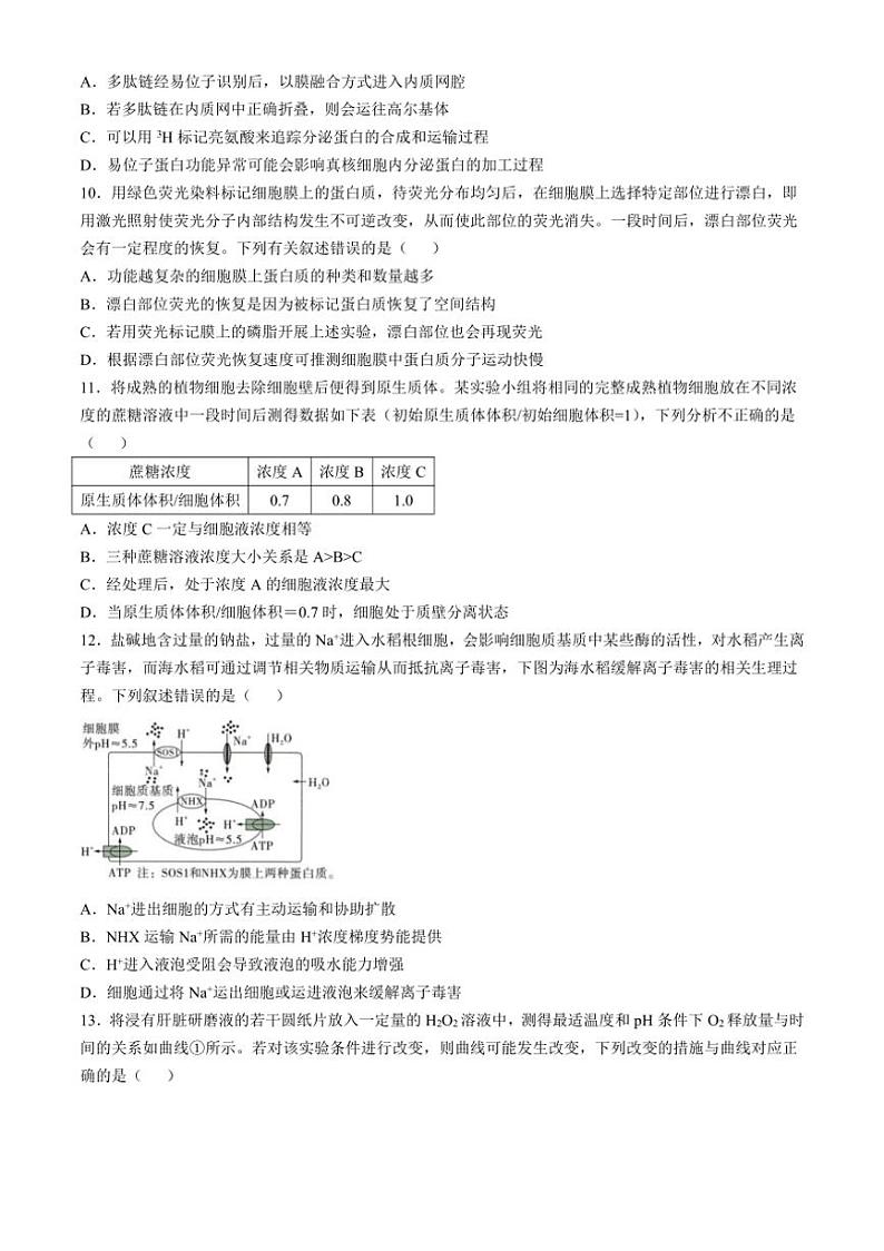 [生物]山西省吕梁市孝义市山西省孝义中学校2024～2025学年高三上学期10月学业水平质量检测题(2)学试题(有答案)第3页