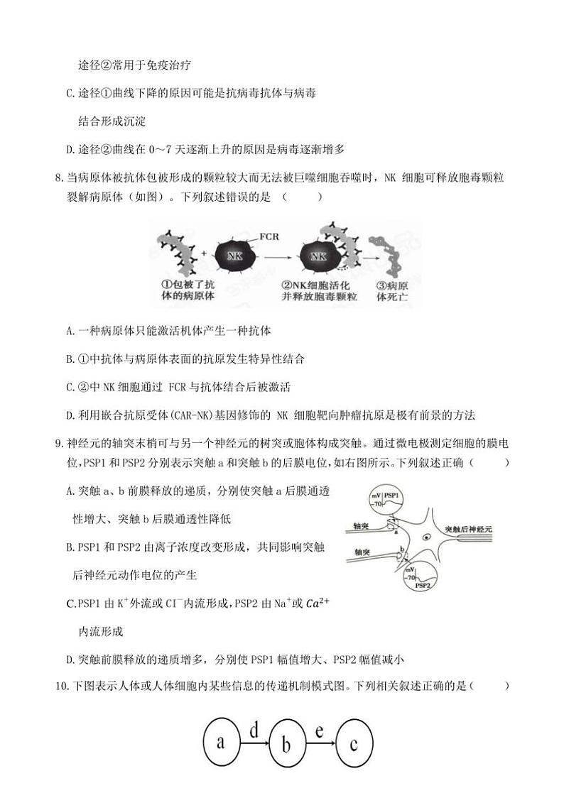 [生物]江苏省连云港市灌南县惠泽高级中学2024～2025学年高二上学期10月第一次月考学试题(有答案)第3页