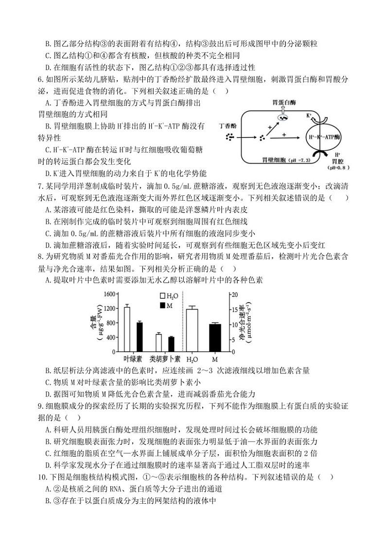 [生物]江苏省连云港市灌南县惠泽高级中学2024～2025学年高三上学期10月第一次月考学试题(有答案)第2页