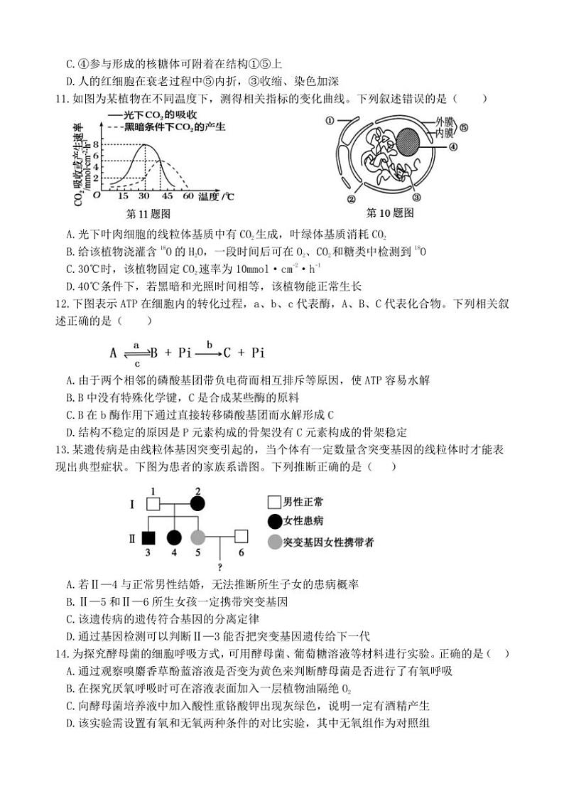 [生物]江苏省连云港市灌南县惠泽高级中学2024～2025学年高三上学期10月第一次月考学试题(有答案)第3页