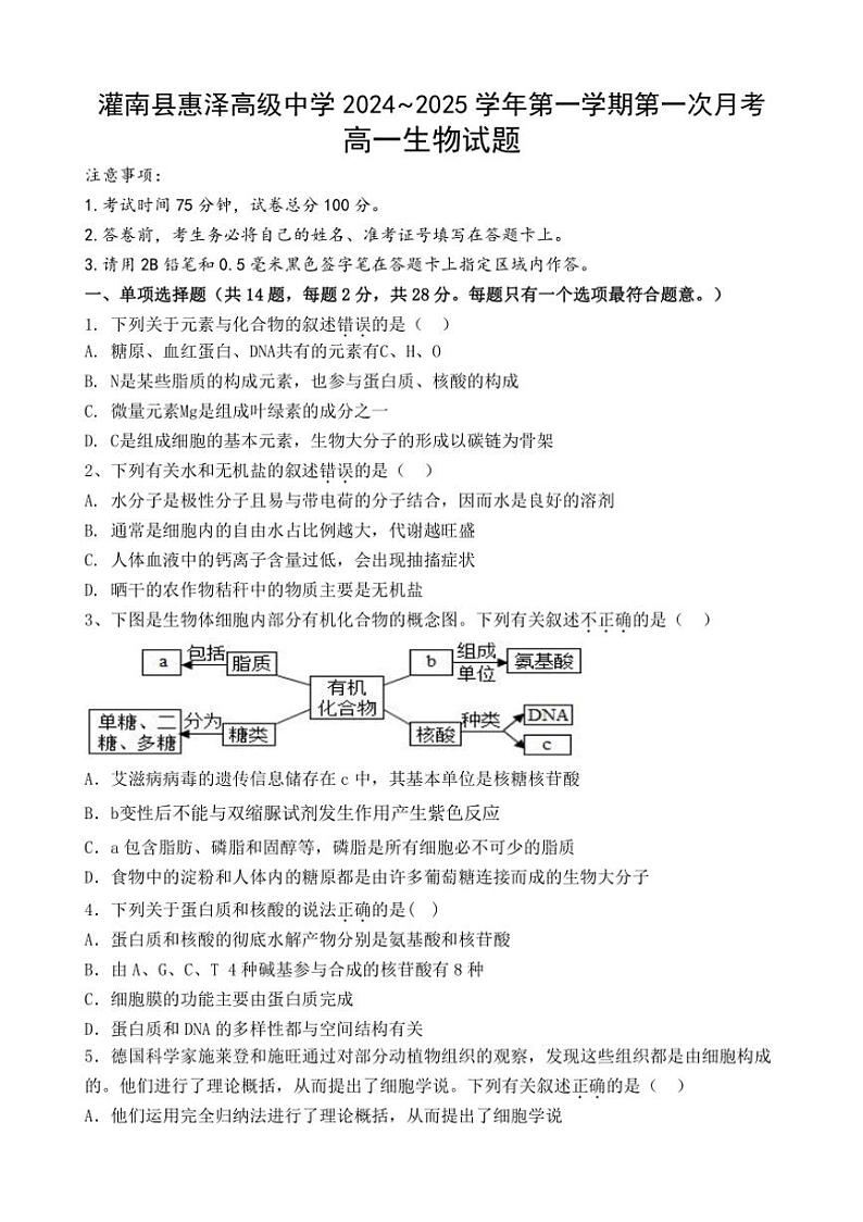[生物]江苏省连云港市灌南县惠泽高级中学2024～2025学年高一上学期10月第一次月考学试题(有答案)01