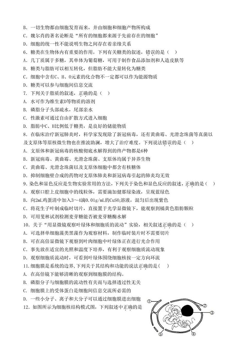 [生物]江苏省连云港市灌南县惠泽高级中学2024～2025学年高一上学期10月第一次月考学试题(有答案)02
