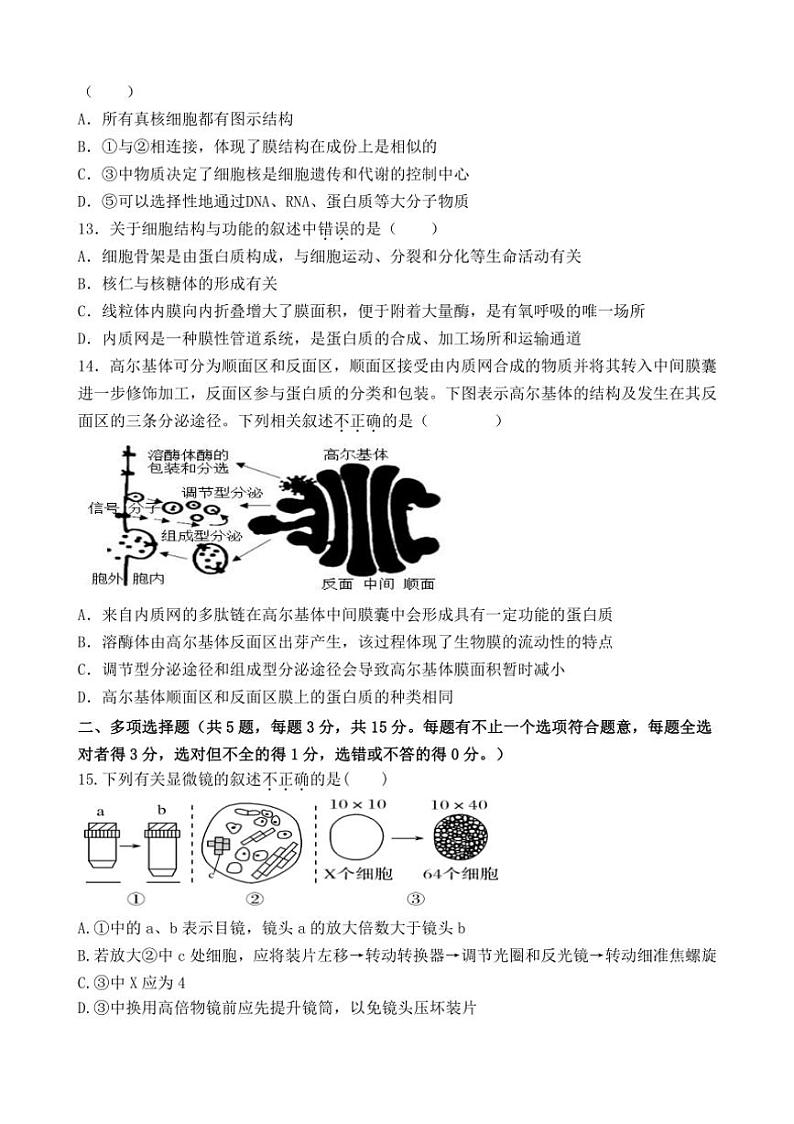 [生物]江苏省连云港市灌南县惠泽高级中学2024～2025学年高一上学期10月第一次月考学试题(有答案)03