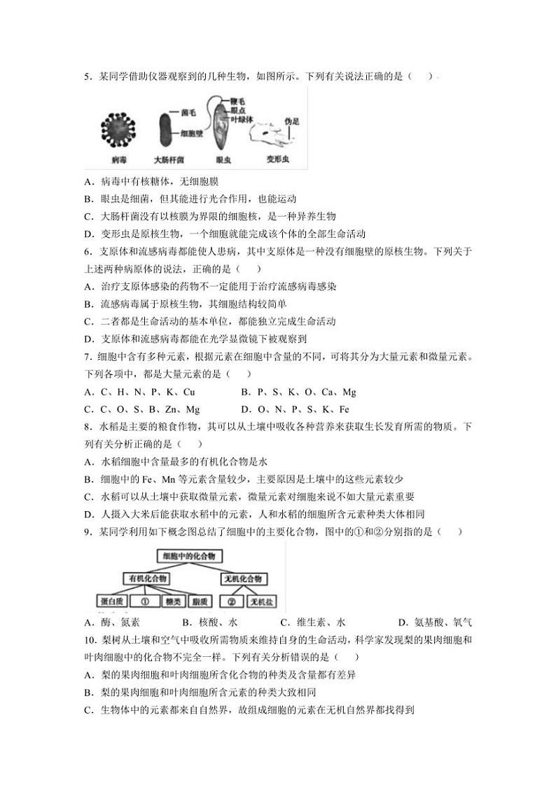 [生物]陕西省西安市黄河中学2024_2025学年高一上学期10月第一次月考学试题(有答案)第2页