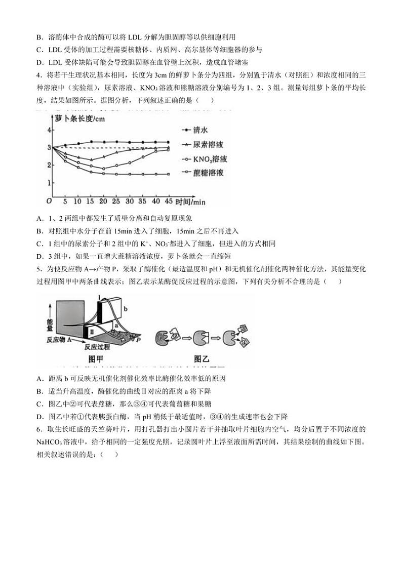 [生物]辽宁省重点高中沈阳市郊联体2024～2025学年高三上学期10月月考试题(有答案)02