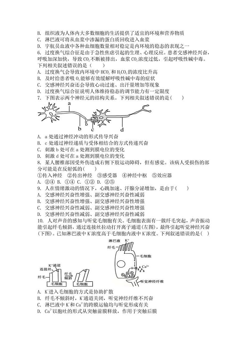 [生物]广东省湛江市第二十一中学2024～2025学年高二上学期10月月考学试题(有答案)第2页