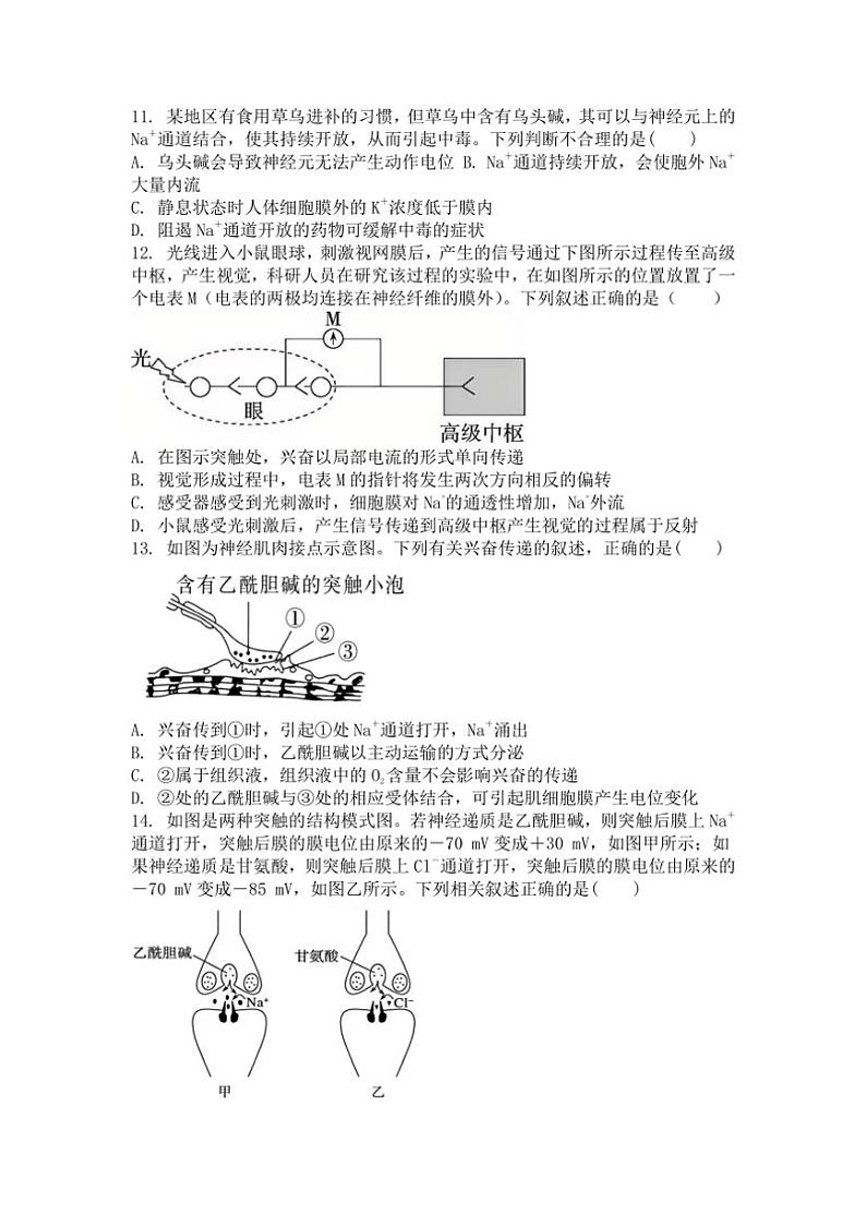 [生物]广东省湛江市第二十一中学2024～2025学年高二上学期10月月考学试题(有答案)第3页