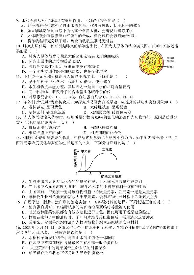 [生物]广东省湛江市第二十一中学2024～2025学年高一上学期10月月考学试题(有答案)02