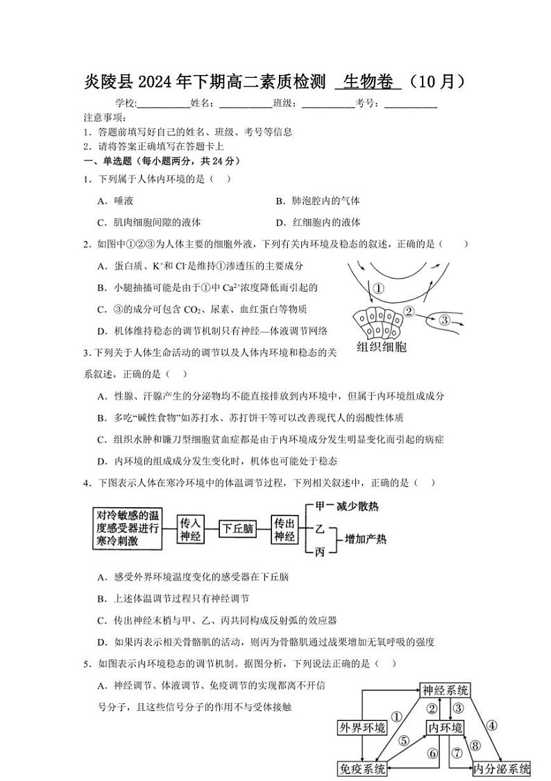 [生物]湖南省株洲市炎陵县2024～2025学年高二上学期10月素质检测学试题(有答案)第1页