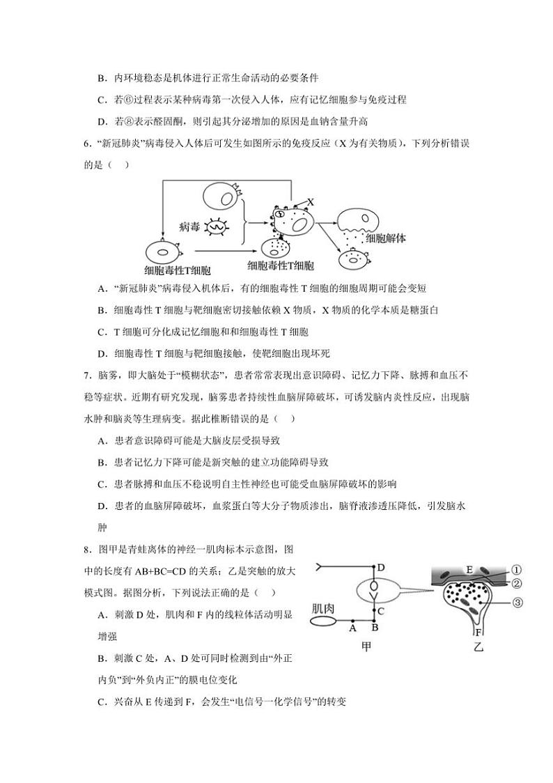 [生物]湖南省株洲市炎陵县2024～2025学年高二上学期10月素质检测学试题(有答案)第2页