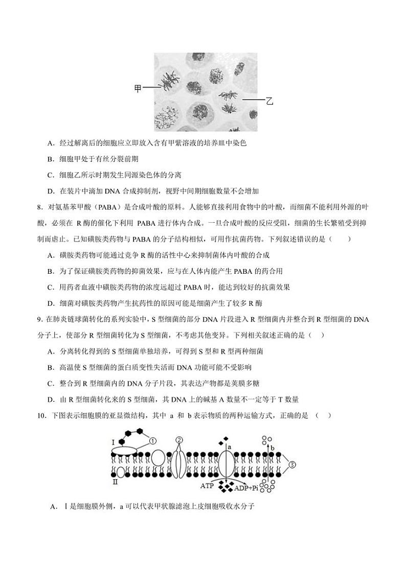 [生物]重庆市重庆市重庆乌江新高考协作体2024～2025学年高三上学期10月高考质量调研(二)学试题(有答案)第2页