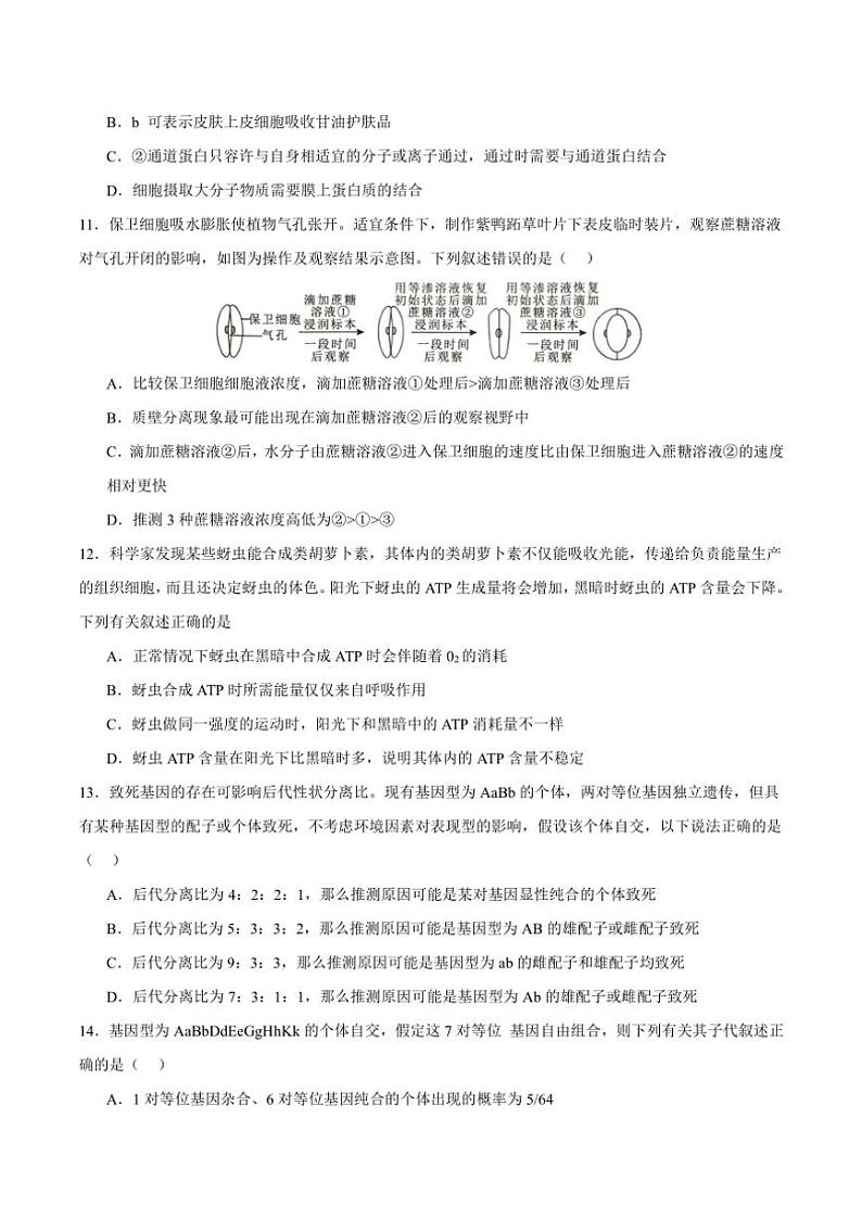 [生物]重庆市重庆市重庆乌江新高考协作体2024～2025学年高三上学期10月高考质量调研(二)学试题(有答案)第3页
