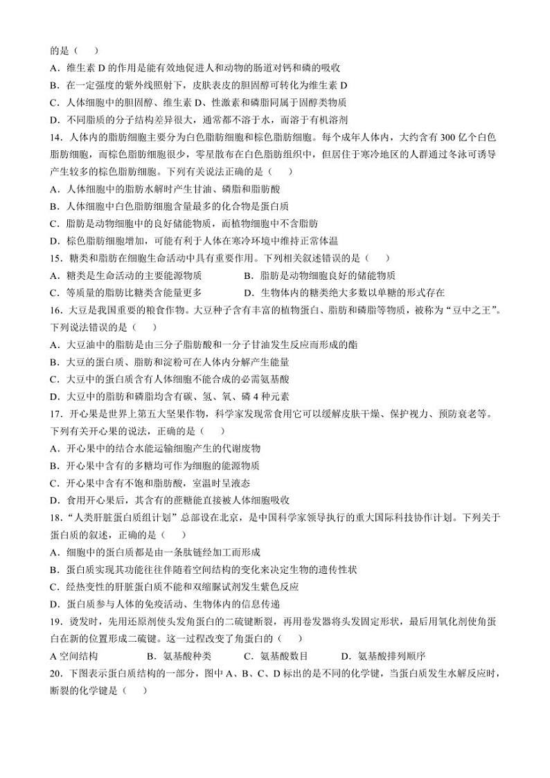 [生物]湖南省长沙市明德中学2024～2025学年高一上学期第一次阶段检测学月考试题(有答案)第3页
