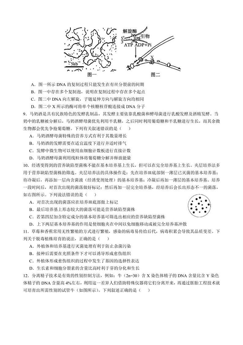 [生物]四川省成都市石室中学2024～2025学年高三上学期10月月考试题(有解析)第3页
