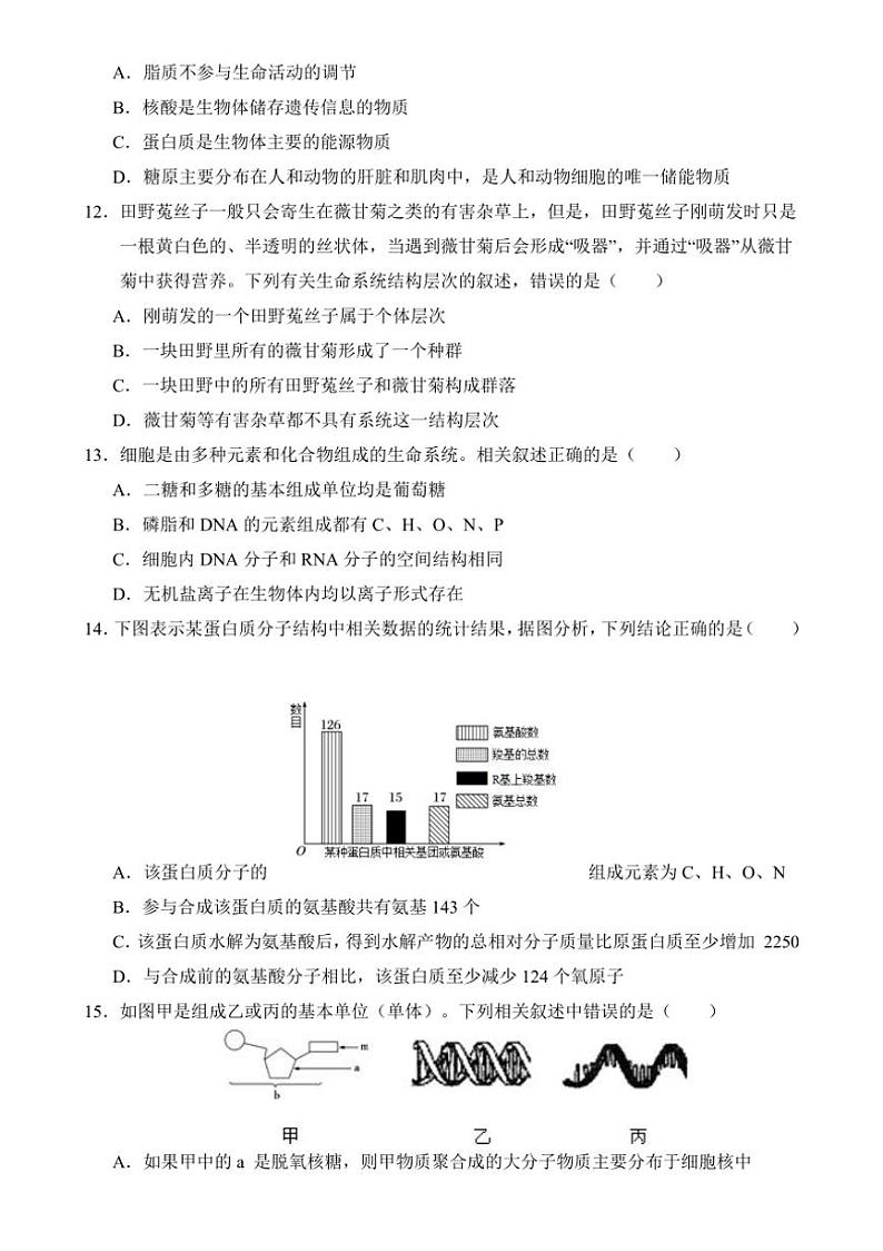 [生物]云南省保山市隆阳区保山市智源高级中学2024～2025学年高一上学期10月第一次月考学试题(有答案)第3页