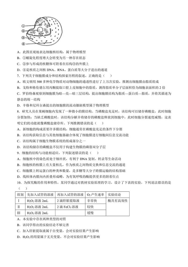 [生物]河南省周口市项城市第三高级中学2024～2025学年高三上学期第一次段考月考试题(有解析)第2页