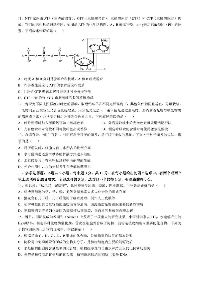 [生物]河南省周口市项城市第三高级中学2024～2025学年高三上学期第一次段考月考试题(有解析)第3页