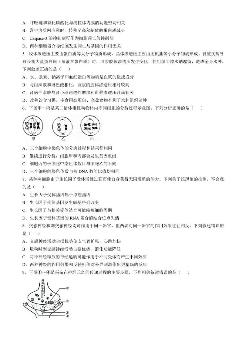 [生物]湖南省多校联考2024～2025学年高二上学期10月月考学试题(有答案)第2页
