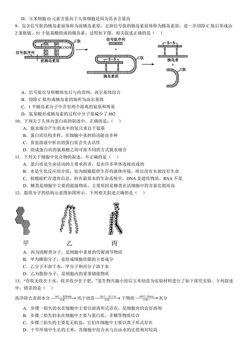 [生物]河南省许昌市魏都区许昌高级中学2024～2025学年高一上学期10月月考学试题(有答案)第3页