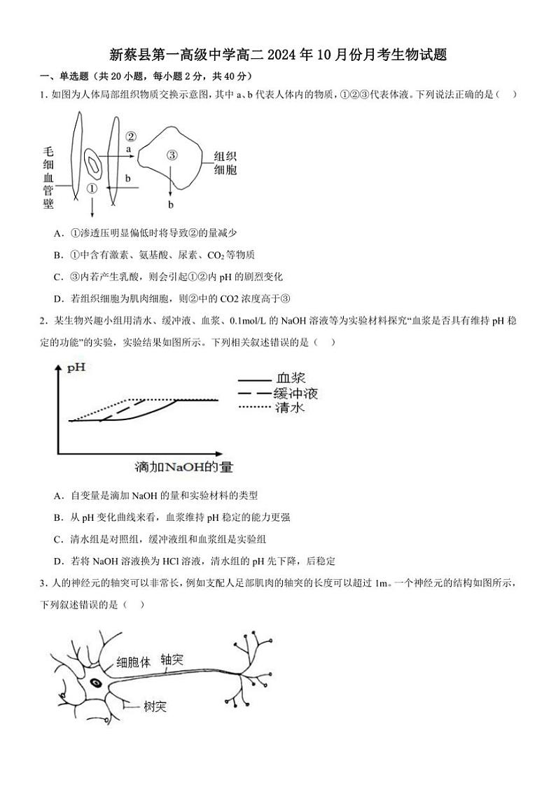 [生物]河南省驻马店市新蔡县新蔡县第一高级中学2024～2025学年高二上学期10月月考试题(有答案)第1页