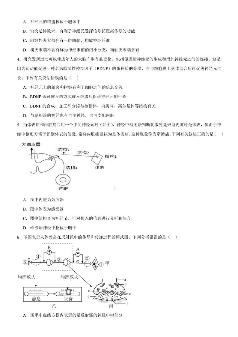 [生物]河南省驻马店市新蔡县新蔡县第一高级中学2024～2025学年高二上学期10月月考试题(有答案)第2页