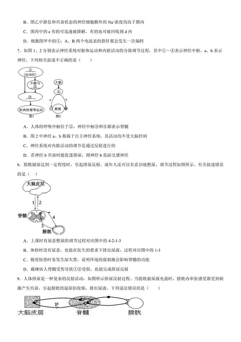 [生物]河南省驻马店市新蔡县新蔡县第一高级中学2024～2025学年高二上学期10月月考试题(有答案)第3页