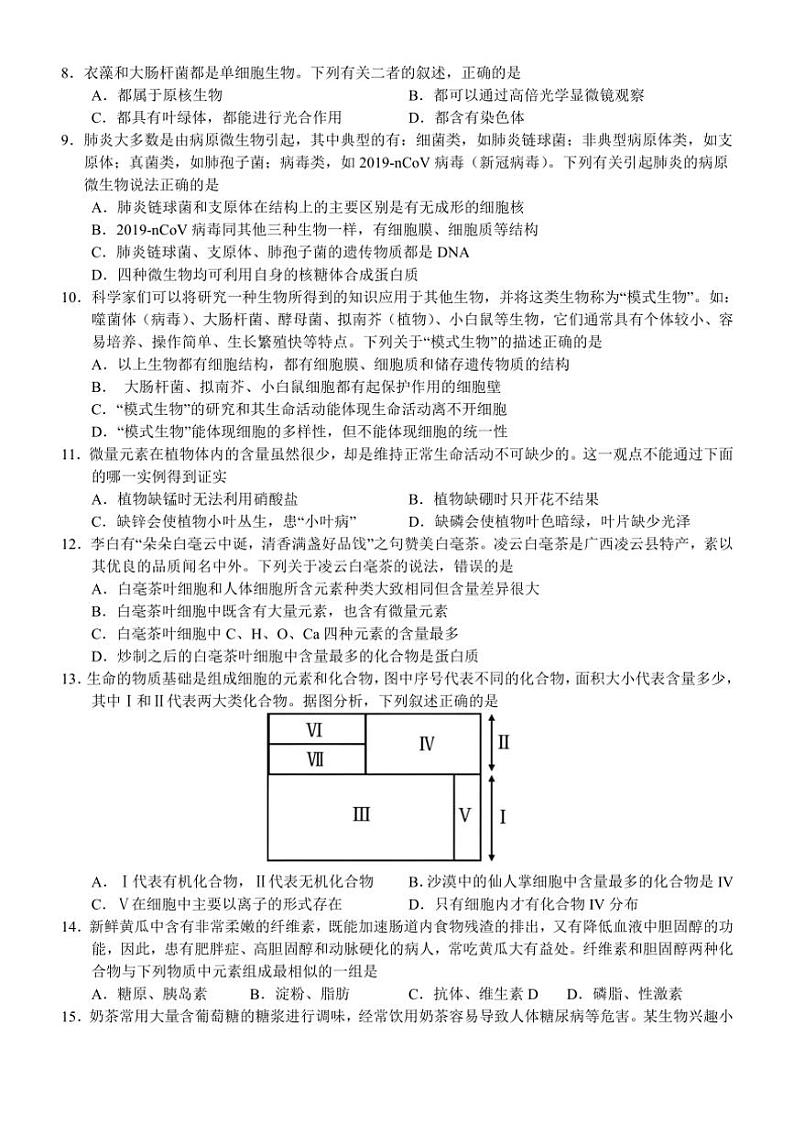[生物]广西壮族自治区南宁市兴宁区南宁市第三中学2024～2025学年高一上学期10月月考试题(有解析)第2页