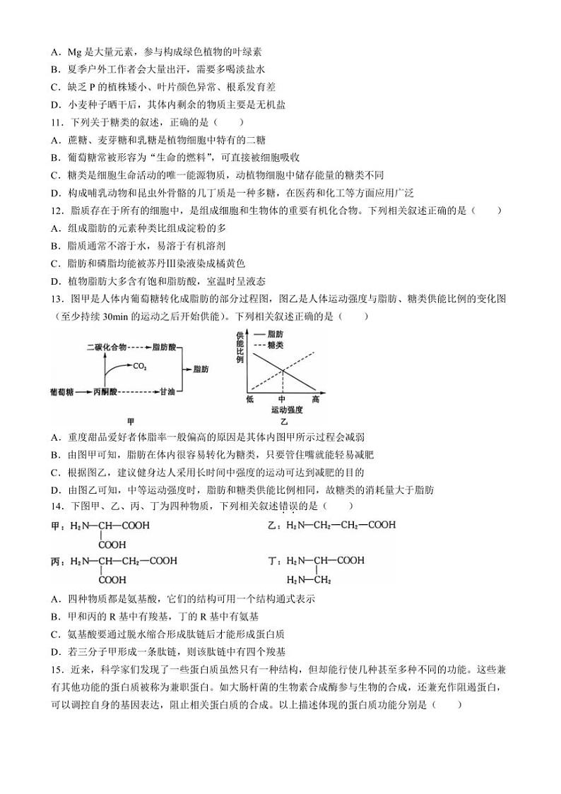 [生物]陕西省榆林市府谷县第一中学2024～2025学年高一上学期10月第一次月考学试题(有答案)03