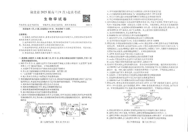 湖北省“宜荆荆恩”2025试卷+届高三9月起点考试试卷+生物学第1页