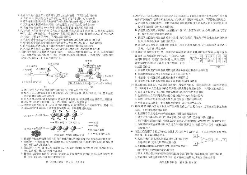 湖北省“宜荆荆恩”2025试卷+届高三9月起点考试试卷+生物学第2页