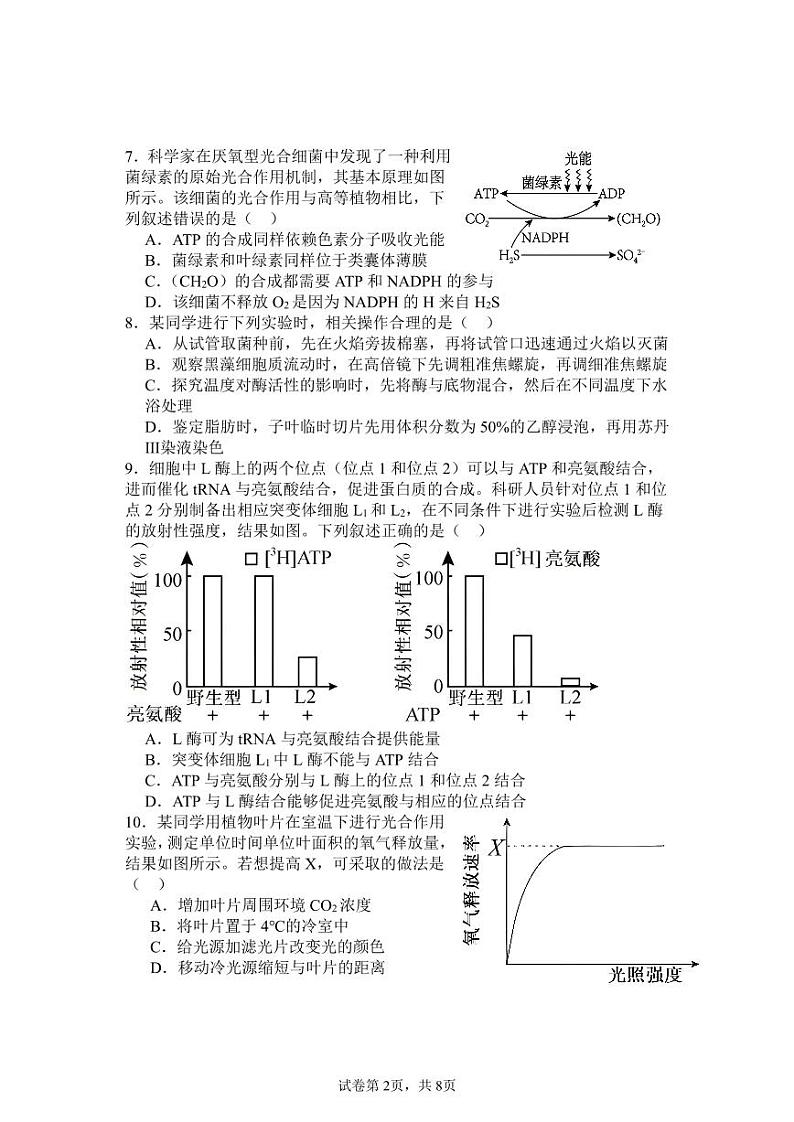 湖北省宜城市2024-2025学年高三上学期9月月考试卷生物（含答案）02