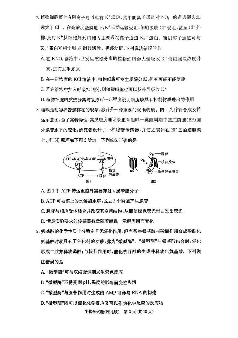 湖南省雅礼2025届高三月考试卷（一）生物（含答案）03