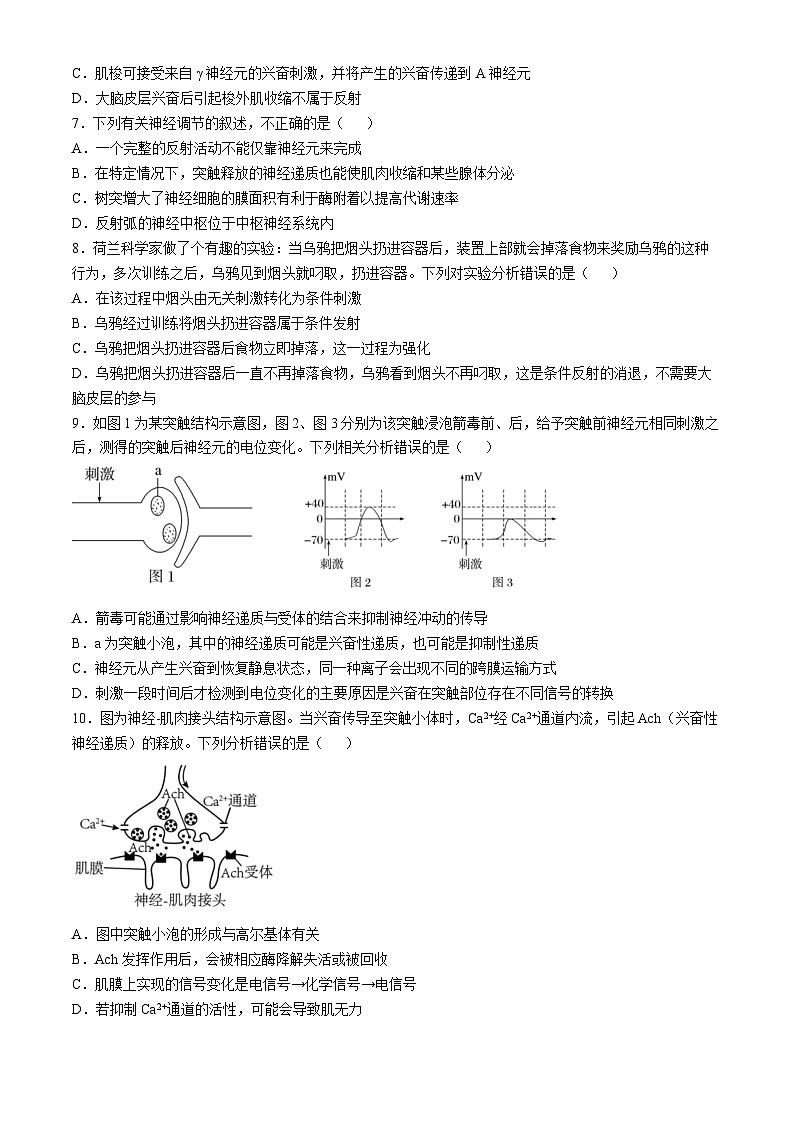 四川省成都市第七中学2024-2025学年高二上学期10月月考生物学试题第2页